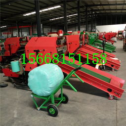 【適口性好青儲飼料包裝機(jī)裹包青儲打包機(jī)廠家】-濟(jì)寧